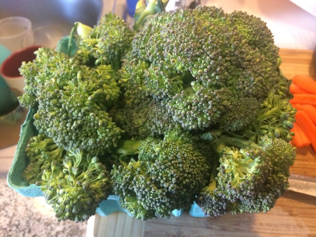Gorgeous broccoli from the Broad Ripple Farmer's Market. 